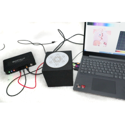 Cubo Negro radiónico para NLS y Rife 2.π Contact